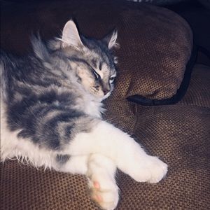 Meet your Posher, Sally